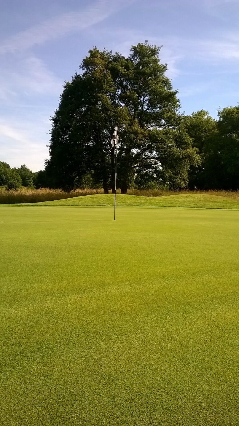 Contraste entre un green et une nature sauvage