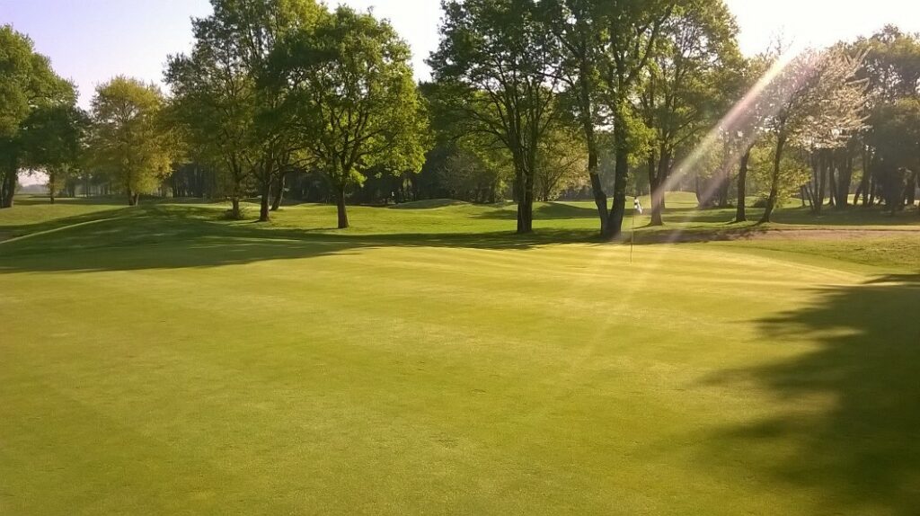 Rai de lumière sur une nature maîtrisée en vue d'un grand prix de golf